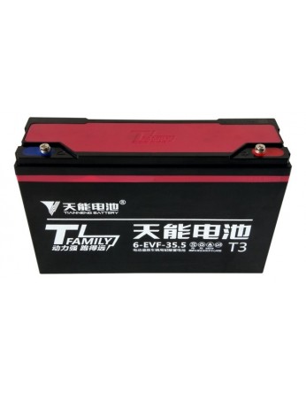 Μπαταρία Tianneng 6DZF35.5 / TNE12-40 - AGM τεχνολογίας ηλεκτρικών οχημάτων - 12V 35Ah (C2) / 40Ah (C20)